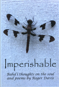 Imperishable (Originally $12)