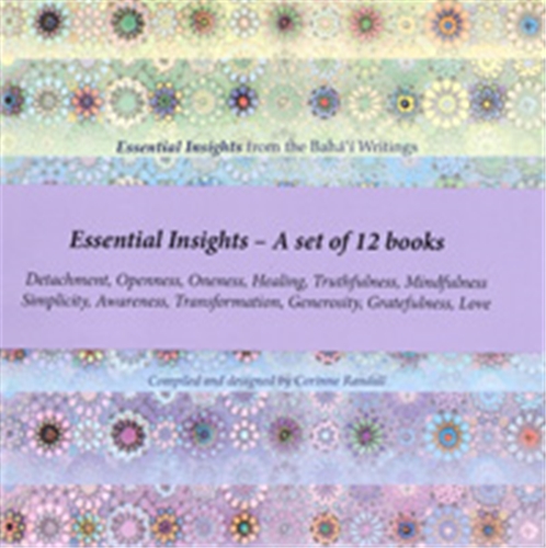 Essential Insights (Set of 12)