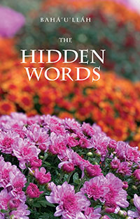 Hidden Words (eBook - ePub)