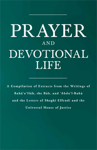 Prayer and Devotional Life (eBook - ePub)