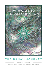 Pathways to Transformation (PDF)