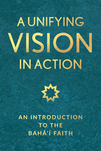 A Unifying Vision in Action (eBook - ePub)