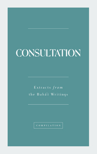 Consultation (PDF)